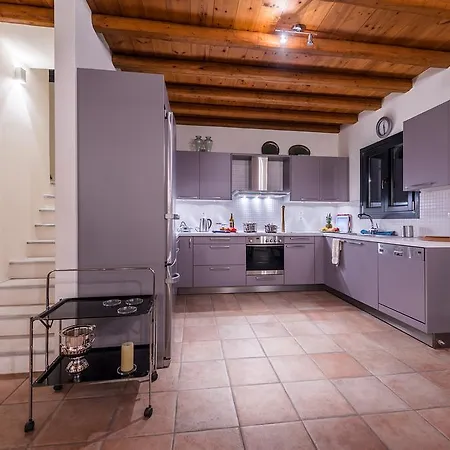 Mileia Tinos Villa *